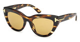 Tom Ford Eyeglasses FT1252 coloured havana / brown/55E