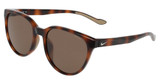 Nike Eyeglasses NIKE TEMPER SHINE IO0152X TORTOISE / BROWN/222