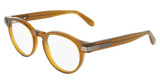 Ferragamo Eyeglasses SF3045 TRANSPARENT BROWN/232