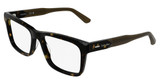 Calvin Klein CK25544 DARK HAVANA/235