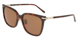 Ferragamo Eyeglasses SF2037SLB RED TORTOISE/640
