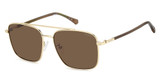 Polaroid Eyeglasses PLD 4192/G/S/X GOLD/0J5G