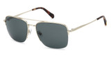 Fossil Eyeglasses FOS 2164/G/S MT LIGHT G/0CGS