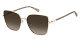 Polaroid Eyeglasses PLD 4193/G/S/X GOLD COPP/0DDB