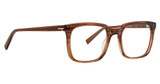 Trina Turk Eyeglasses Chambers Brown/BRN