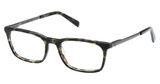 Abercrombie & Fitch Eyeglasses AF50041 coloured havana/055