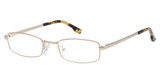 Hollister Eyeglasses HL50019 pink gold/033