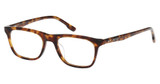 Hollister HL50044 dark havana/052