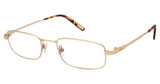 Fossil Eyeglasses RUSTY MT GD/0AOZ