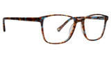 Life is Good Eyeglasses Jody Blue Tortoise/BTB