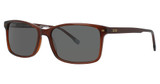 Izod 781 COFFEE BROWN