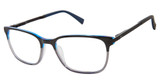 Ted Baker Eyeglasses TFM007 black grey/BLK