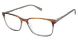 Ted Baker Eyeglasses TFM007 horn grey/HRN