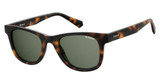 Polaroid Eyeglasses PLD 1016/S/NEW HVN/0086
