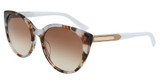 Cole Haan Eyeglasses CH7085 BROWN TORTOISE/210