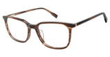Sperry Eyeglasses FLYNN BROWN HORN/C02