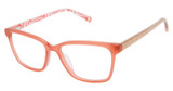Ted Baker Eyeglasses B982 coral/COR