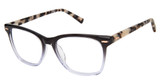 Ted Baker Eyeglasses TWBIO001 black/BLK