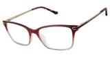 Buffalo by David Bitton Eyeglasses BW035 burgundy/grey/BUR