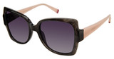 Champion Eyeglasses WANT BLACK FEATHERED/C01