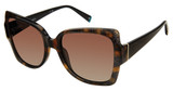 Champion Eyeglasses WANT TORTOISE/C02
