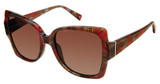 Champion Eyeglasses WANT CRIMSON TORT/C03