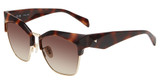Police Eyeglasses SPLN59M Shiny Dark Havana 01AY