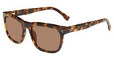 GAP Eyeglasses SGP023 Havana 909T