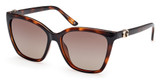 Guess? Eyeglasses GU00191 dark havana / brown polarized/52H