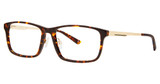 Stetson® Eyeglasses Stetson SF 3007 Tortoise