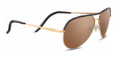 Classics Eyeglasses Carrara (Leather) Shiny Bold Gold/Dark Brown Leather