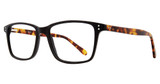 Eye Q Eyewear Eyeglasses MP404 Black/MATTE BLACK/TORTOISE