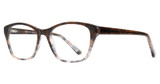 Global Optique Eyeglasses PB858 Demi Brown