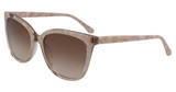 Draper James Eyeglasses DJ7014 BROWN/200
