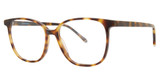 Paradigm Eyeglasses 20-09 Tortoise/TO