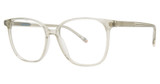 Paradigm Eyeglasses 20-09 Grey/GR