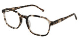 Article One Eyeglasses DAYTON GREY TORTOISE/GREY