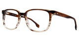 Vivid Eyeglasses VIVID 953 brown/3