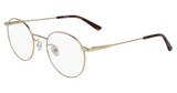 Calvin Klein Eyeglasses CK19119 GOLD/717