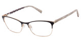Ted Baker Eyeglasses TW530 black/BLK