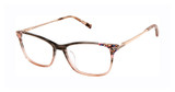 Ted Baker Eyeglasses TWUF008 brown/BRN