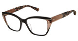 Ted Baker Eyeglasses TLW012 black/BLK