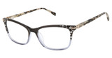Ted Baker Eyeglasses TWXL002 black/BLK