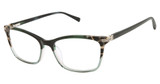 Ted Baker Eyeglasses TWXL002 emerald/EMR
