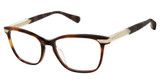 Ted Baker Eyeglasses TLW015 tortoise/TOR
