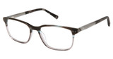Ted Baker Eyeglasses TFM019 slate/SLA