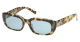Abercrombie & Fitch Eyeglasses AF00020 coloured havana / green/55N