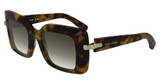 Longchamp LO776S N BROWN GREEN HAVANA/205