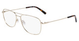 Flexon Eyeglasses FLEXON H6065 N GOLD/710