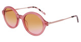 DKNY Eyeglasses DK714S N MILKY ROSE/675